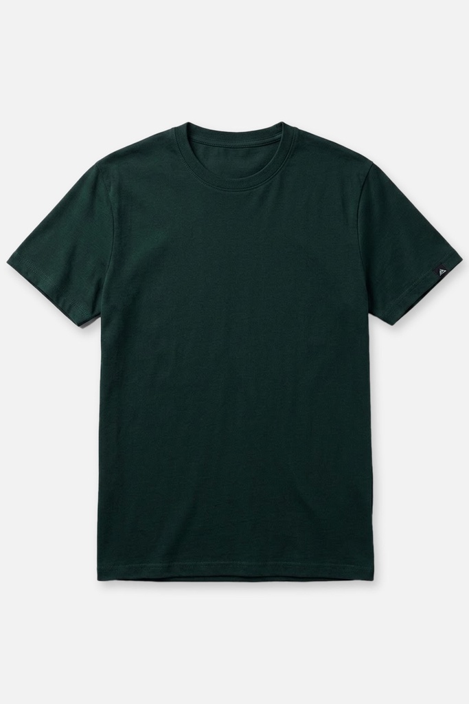 Men's T Shirt (PKTBH-6|RLX)