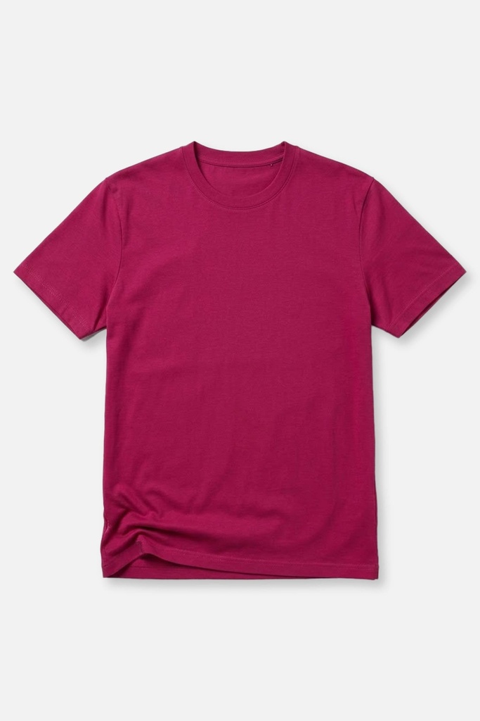 Men's T Shirt (PKTBH-7|SLM)