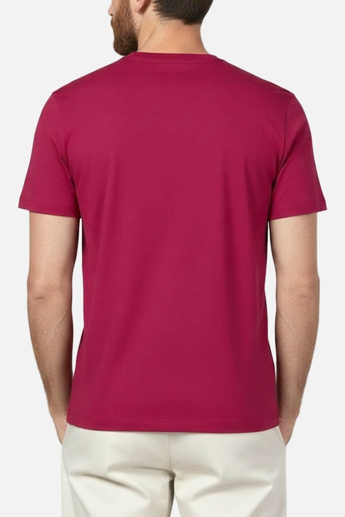 Men's T Shirt (PKTBH-7|SLM)