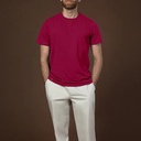 Men's Cotton Viscose Polyester T Shirt (PKTBH-7|SLM)       