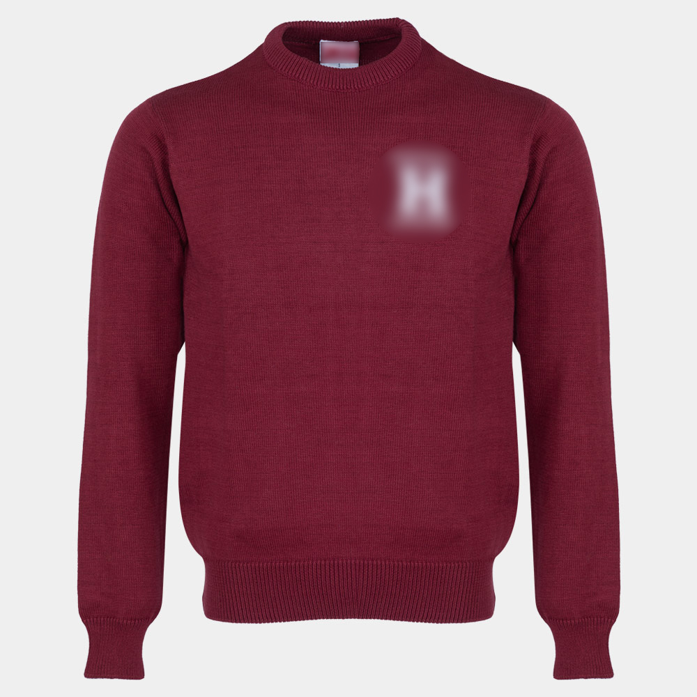 Harvard (Crew Left Chest Emb Harvard Law With Small H Applique)