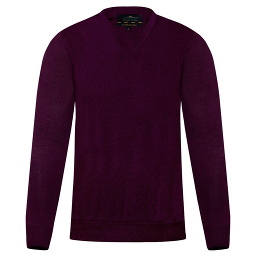 Men's Sweater (LY-9085|VNK/FSL)