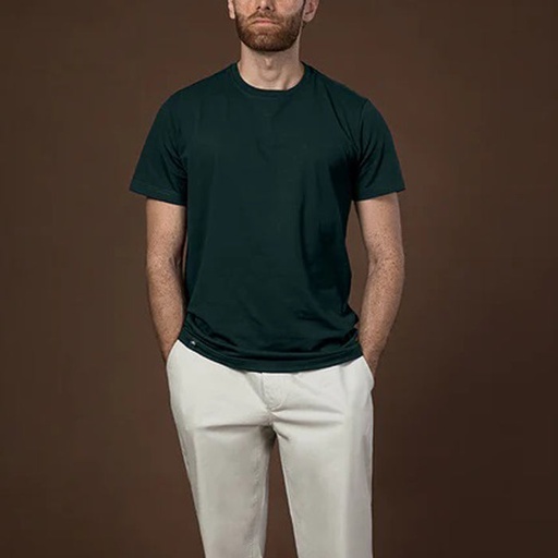 Men's Cotton Viscose Polyester T Shirt (PKTBH-6|SLM)       